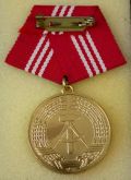 Medalha de Lealdade nos Grupos de Luta da Classe Trabalhadora, 20 anos